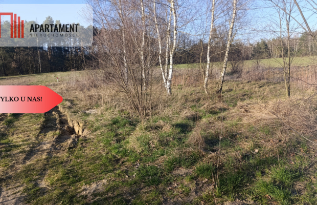 1200m²/Dolina Baryczy/Nowe Osiedle/media/MPZ