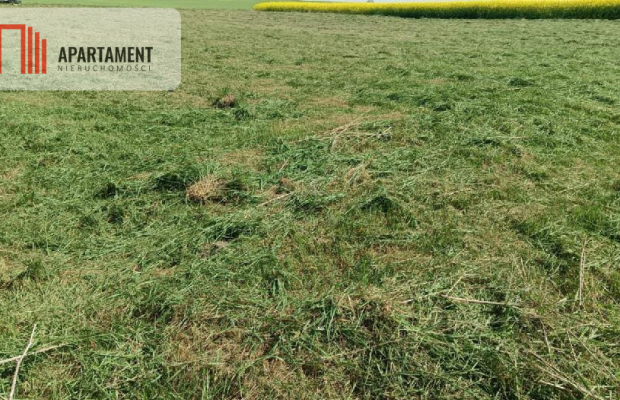 Urokliwa działka w spokojnej okolicy