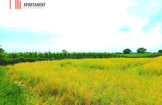 SCZUTKI 1320 m2 piękne ciche spokojne miejsce