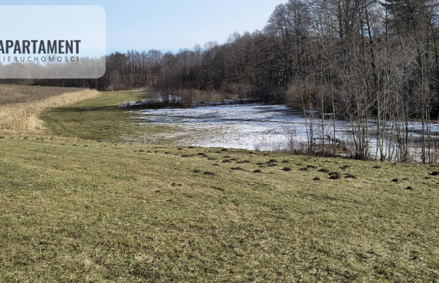 Działka na Kaszubach z widokiem na jezioro