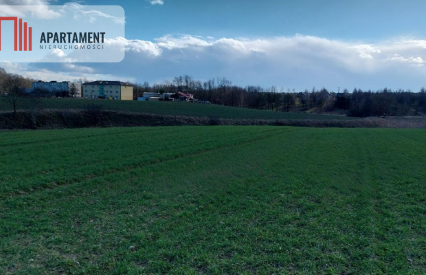 Działka inwestycyjna blisko Kościerzyny