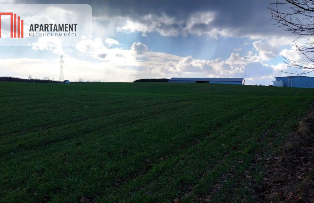 Działka inwestycyjna blisko Kościerzyny