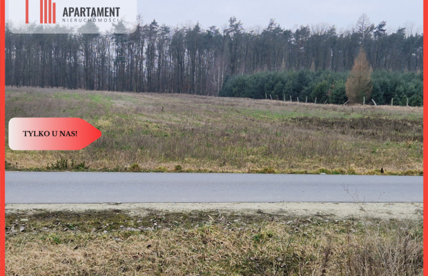 Działka budowlana ze ścianą lasu