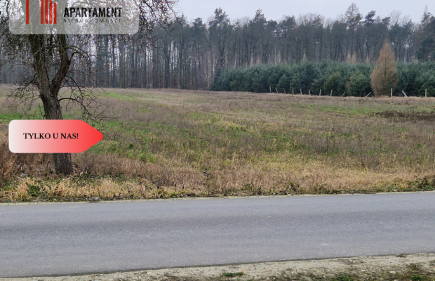 Działka budowlana ze ścianą lasu