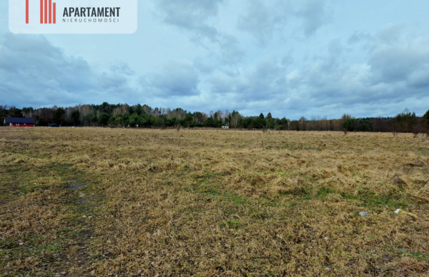 Tylko u Nas! Działka 700 m od jeziora w Tleniu!!