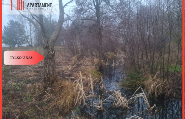 TYLKO U NAS !!! WSERCU BORÓW TUCHOLSKICH