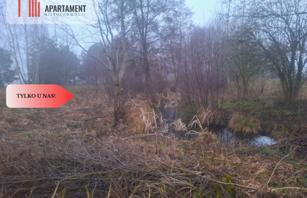 TYLKO U NAS !!! WSERCU BORÓW TUCHOLSKICH