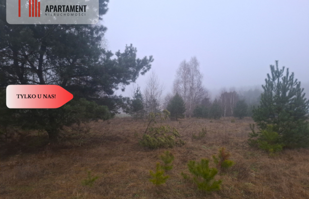 TYLKO U NAS !!! WSERCU BORÓW TUCHOLSKICH