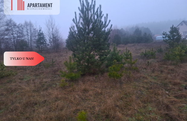 TYLKO U NAS !!! WSERCU BORÓW TUCHOLSKICH