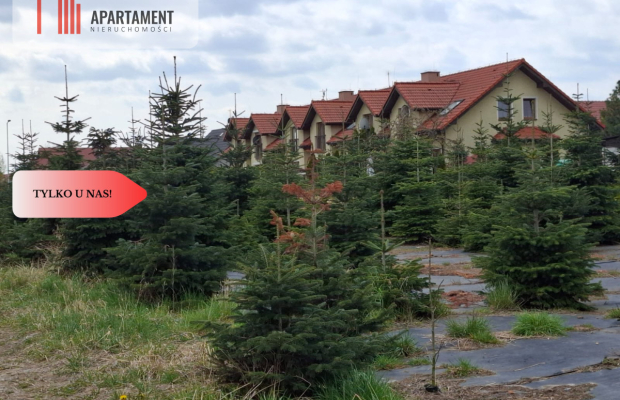 2900 mkw Idealnie pod inwestycję