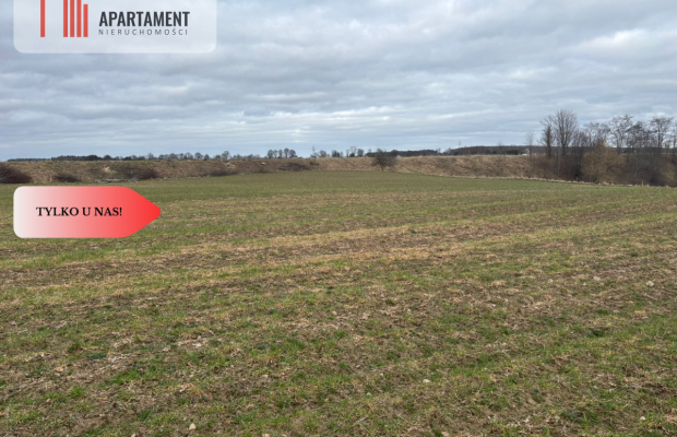 Działki z potencjałem inwestycyjnym