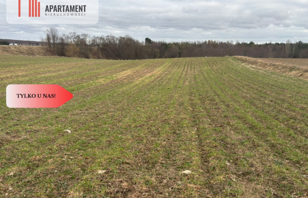 Działki z potencjałem inwestycyjnym