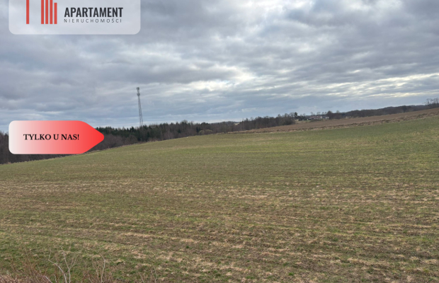 Działki z potencjałem inwestycyjnym