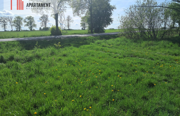 Dwie działki rolne – 2,2 ha, Górzna