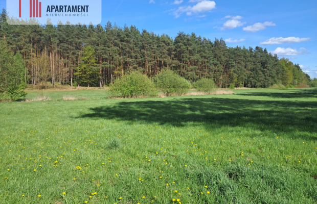 Dwie działki rolne – 2,2 ha, Górzna