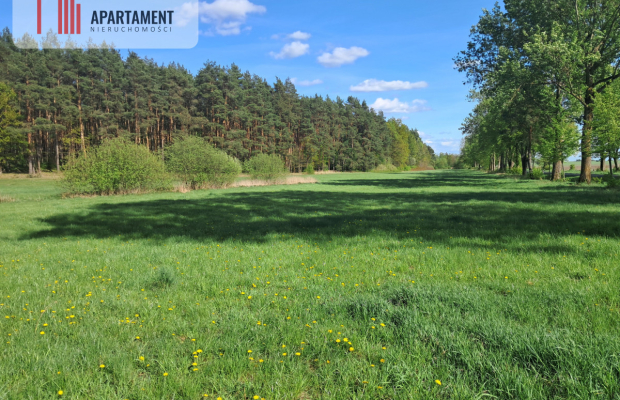 Dwie działki rolne – 2,2 ha, Górzna