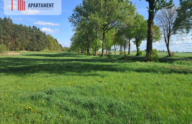 Dwie działki rolne – 2,2 ha, Górzna