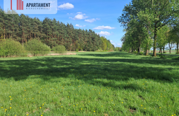 Dwie działki rolne – 2,2 ha, Górzna