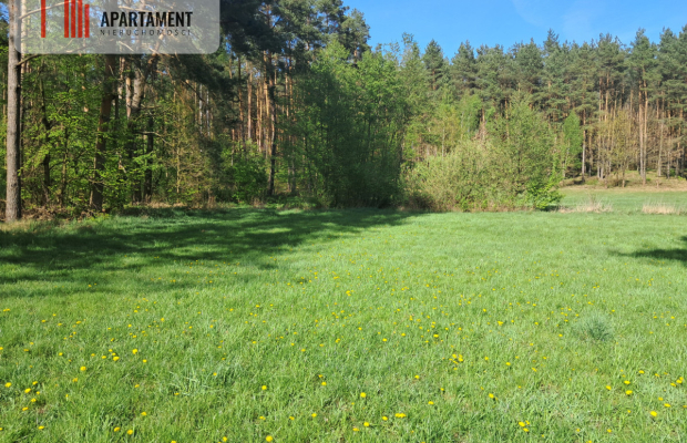 Dwie działki rolne – 2,2 ha, Górzna