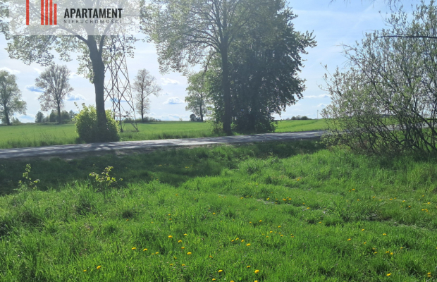 Dwie działki rolne – 2,2 ha, Górzna