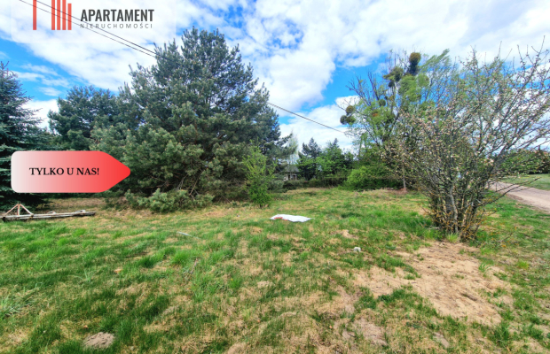 Działka budowlana z drzewami pod Bydgoszczą!