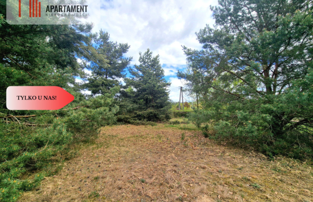 Działka budowlana z drzewami pod Bydgoszczą!