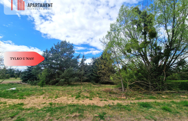 Działka budowlana z drzewami pod Bydgoszczą!