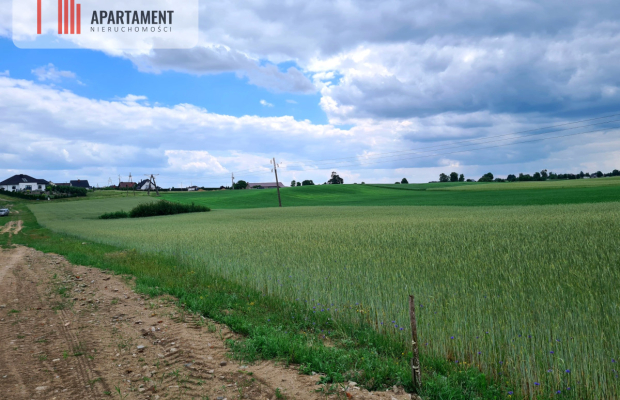 Działki Usługowo-Przemysłowe z funkcją mieszkalną!