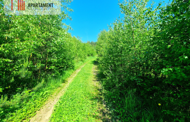 Tylko u Nas! Działka wśród brzózek! Piękne miejsce