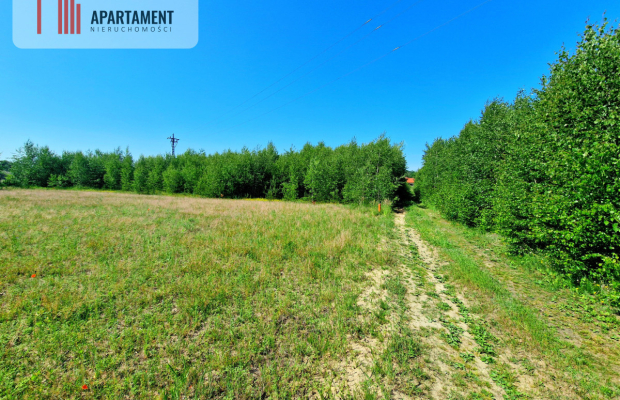 Tylko u Nas! Działka wśród brzózek! Piękne miejsce