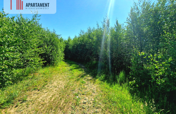 Tylko u Nas! Działka wśród brzózek! Piękne miejsce
