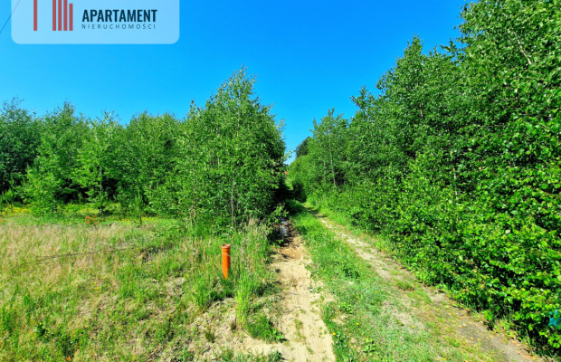 Tylko u Nas! Działka wśród brzózek! Piękne miejsce