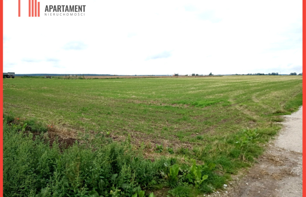 Działka w Parlinie ,gm Dąbrowa, pow. Mogilno