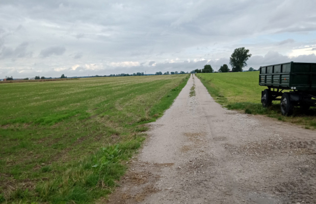 Działka w Parlinie ,gm Dąbrowa, pow. Mogilno