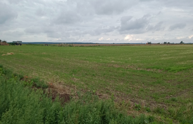 Działka w Parlinie ,gm Dąbrowa, pow. Mogilno