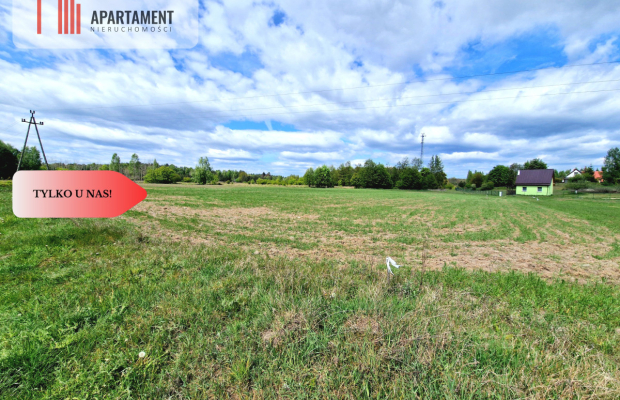 Działka w Tleniu idealna pod domki na wynajem!