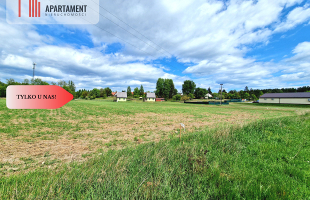 Działka w Tleniu idealna pod domki na wynajem!