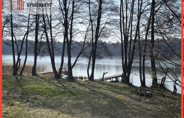 Dołgie, jezioro, las, media ,DZIAŁKI