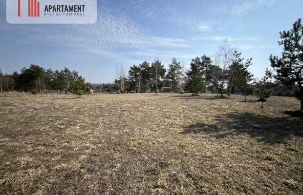 Dołgie, jezioro, las, media ,DZIAŁKI