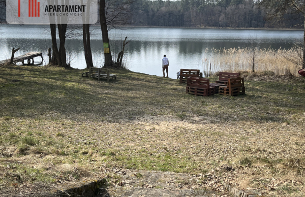 Dołgie, jezioro, las, media ,DZIAŁKI