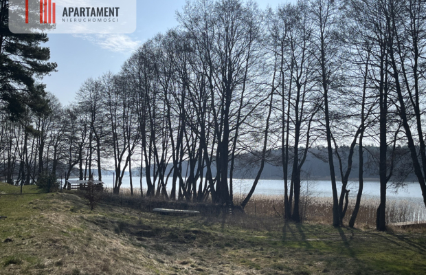 Dołgie, jezioro, las, media ,DZIAŁKI