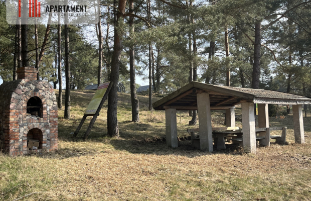 Dołgie, jezioro, las, media ,DZIAŁKI