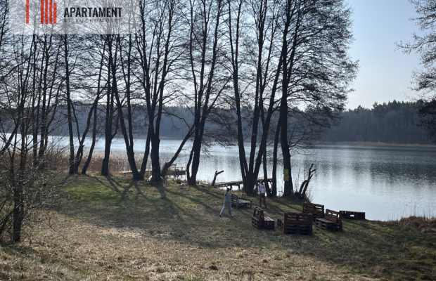 Dołgie, jezioro, las, media ,DZIAŁKI