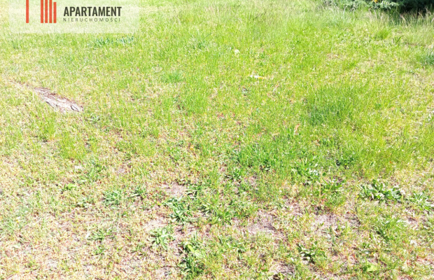 Działka inwestycyjna - market, przychodnia