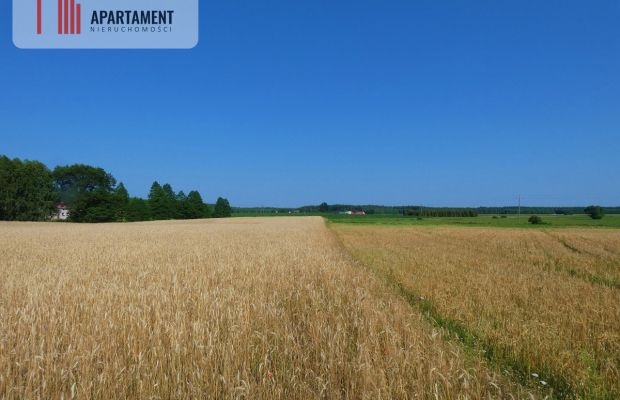Spokojna okolica. Ładnie położona.