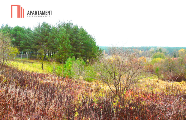 OFERTA TYLKO DLA KONESERA, PRESTIŻ  w mieście!