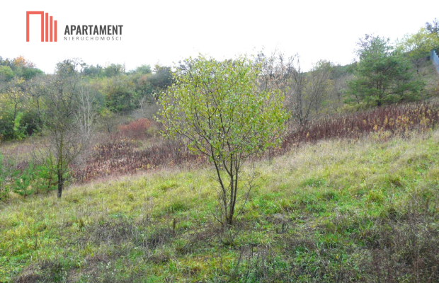 OFERTA TYLKO DLA KONESERA, PRESTIŻ  w mieście!