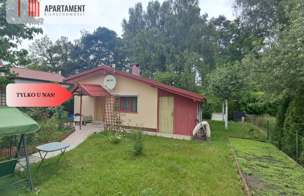 * Działka ROD Żurczyn