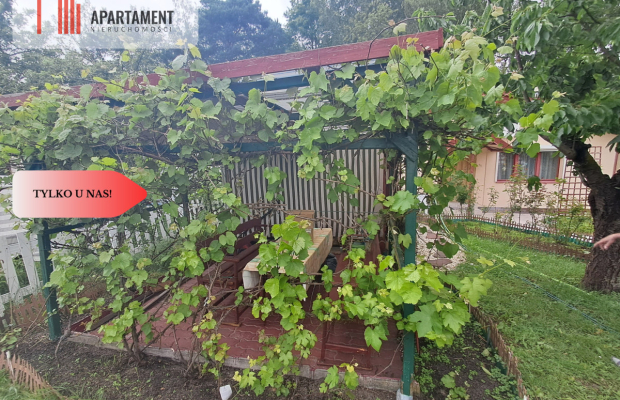 * Działka ROD Żurczyn