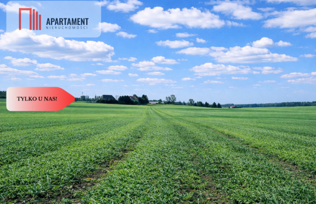 Osetno. 9 działek budowlanych blisko jeziora i las